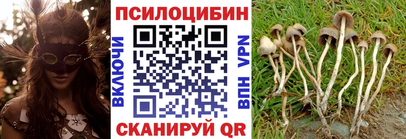 купить наркоту  kraken ссылки  Псилоцибиновые грибы прущие грибы  Зуевка 